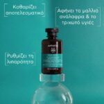 Apivita Oily Hair Oil Balance Shampoo Σαμπουάν για τη Ρύθμιση της Λιπαρότητας 250ml - Image 2