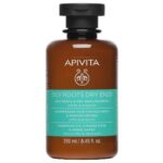 Apivita Oily Roots Dry Ends Shampoo Σαμπουάν κατά της Πιτυρίδας για Λιπαρά Μαλλιά 250ml