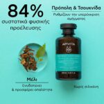 Apivita Oily Roots Dry Ends Shampoo Σαμπουάν κατά της Πιτυρίδας για Λιπαρά Μαλλιά 250ml - Image 3