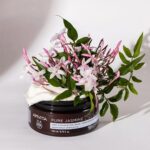 Apivita Pure Jasmine Gentle Exfoliating Cream Κρέμα Ήπιας Απολέπισης με Γιασεμί 200ml - Image 2