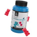 AtLife KidsMotion, Multivitamin For Children 60Gummies. - Image 2