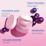 Caudalie Resveratrol-Lift Firming Night Cream-Δοχείο αναπλήρωσης, 50ml - Image 3