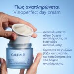 Caudalie Vinoperfect Κρέμα Ημέρας κατά των Κηλίδων σε Δοχείο Αναπλήρωσης, 50ml - Image 2