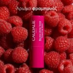 Caudalie Vinotherapist Tinted Balm Ενυδατικό & Επανορθωτικό Xειλιών με Άρωμα Σμέουρου, 4.5g - Image 4
