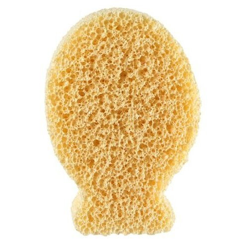 chicco-Βρεφικό-Σφουγγάρι-Μπάνιου-6m-1τεμ1.jpg Chicco Βρεφικό Σφουγγάρι Μπάνιου 6m+ 1τεμ - Image 1