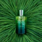Juliette Has a Gun Ex Vetiver Eau De Parfum 50ml - Image 2