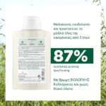 Klorane Avoine Σαμπουάν για Όλη την Οικογένεια με Γαλάκτωμα Βρώμης, 400ml - Image 2