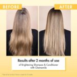 Klorane Chamomile Shampoo Σαμπουάν με Εκχύλισμα Χαμομηλιού για Όλη την Οικογένεια, 200ml - Image 4