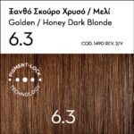 Korres Argan Oil Βαφή Μαλλιών Χωρίς Αμμωνία 6.3 Ξανθό Σκούρο Μελί 1τεμ - Image 2