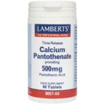 Lamberts Calcium Pantothenate 500mg Συμπλήρωμα Διατροφής για Υγιές Ανοσοποιητκό Σύστημα 60tabs