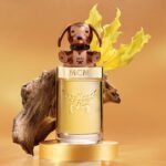 MCM Collection - Darling Doxie Eau De Parfum 100ml - Image 3