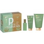 Medisei Panthenol Extra Promo Path of Harmony Σετ Περιποίησης για Καθαρισμό Σώματος 1σετ
