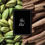 MontBlanc Collection Star Oud Eau de Parfum, 125ml - Image 3