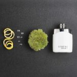 MontBlanc Legend Spirit Eau De Toilette, 50ml - Image 3
