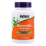 Now Foods Boswellia Extract Συμπλήρωμα Διατροφής για την Ισορροπία του Ανοσοποιητικού 500mg