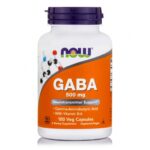 Now Foods Gaba 500mg + B-6 100 Κάψουλες