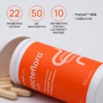 Olonea Bacteflora Plus Συμπλήρωμα για την Ισορροπία του Εντερικού Μικροβιώματος 60caps - Image 2
