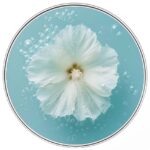 Phyto Boucles Curls Definition Gel-Cream Κρέμα-Τζελ Πειθαρχίας για Μπούκλες, 150ml - Image 3