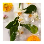 Roger&Gallet Neroli Αναζωογονητικό Σαπούνι με Τονωτικό Άρωμα Άνθους Πορτοκαλιάς, 100g - Image 4