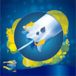 Tampax Compak Regular Tampons with applicator for regular flow 16pcs - Image 2