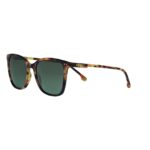 Zippo Sunglasses with Brown Tartaruga Red Skeleton and Green Flashlight OB143-04